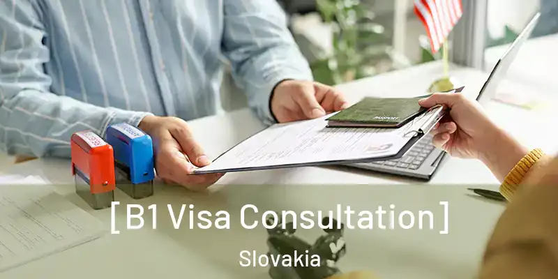  [B1 Visa Consultation] Slovakia