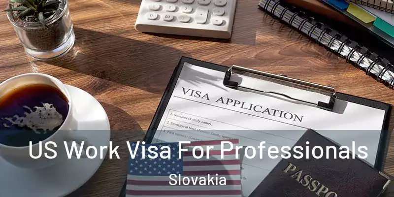  US Work Visa For Professionals Slovakia